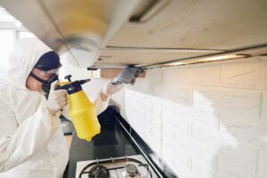 Cleaning service worker spraying detergent